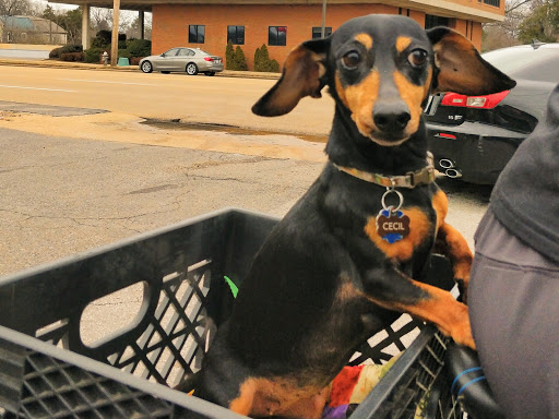 Outdoor Sports Store «Outdoors Inc», reviews and photos, 5245 Poplar Ave, Memphis, TN 38119, USA
