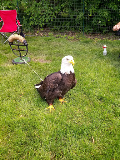 Wildlife Refuge «Big Run Wolf Ranch», reviews and photos, 14857 N Farrell Rd, Lockport, IL 60441, USA