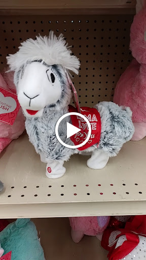 Discount Store «Big Lots», reviews and photos, 4840 Allen Rd, Zephyrhills, FL 33541, USA