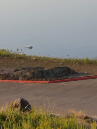 Tule Campground image
