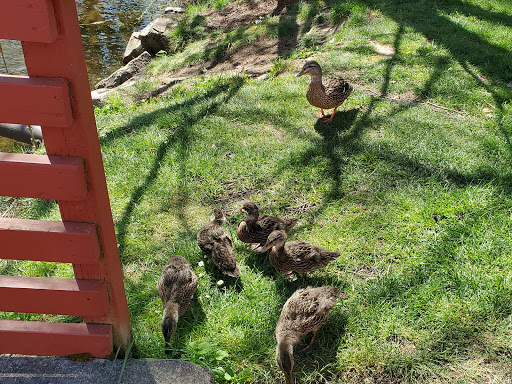 History Museum «Willamette Heritage Center», reviews and photos, 1313 Mill St SE, Salem, OR 97301, USA