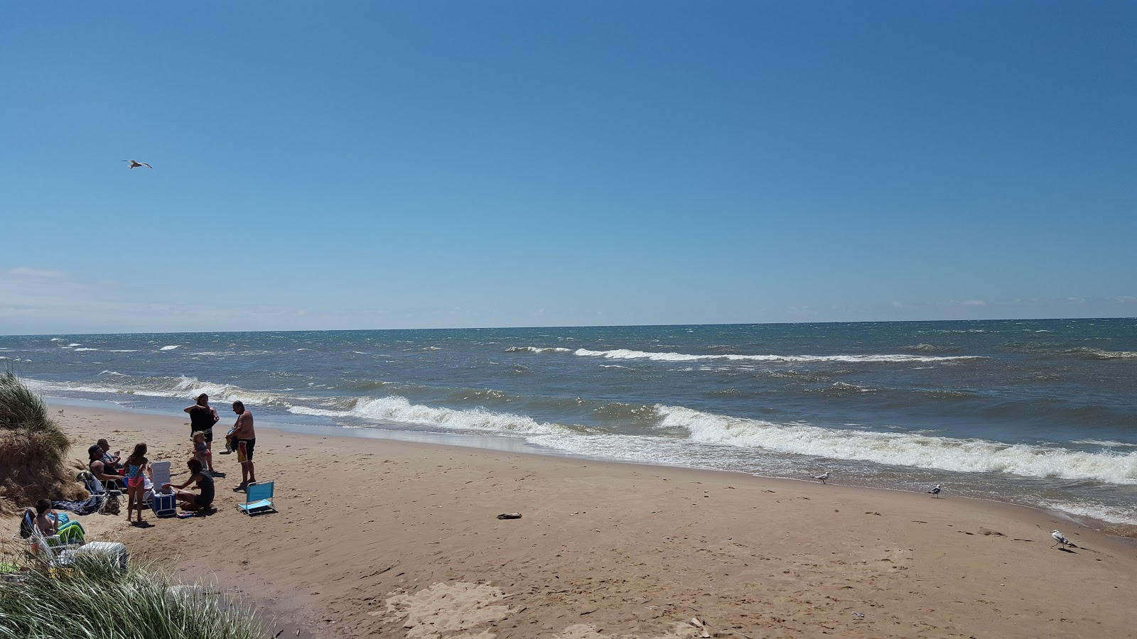 Photo de Pier Cove Beach avec un niveau de propreté de très propre