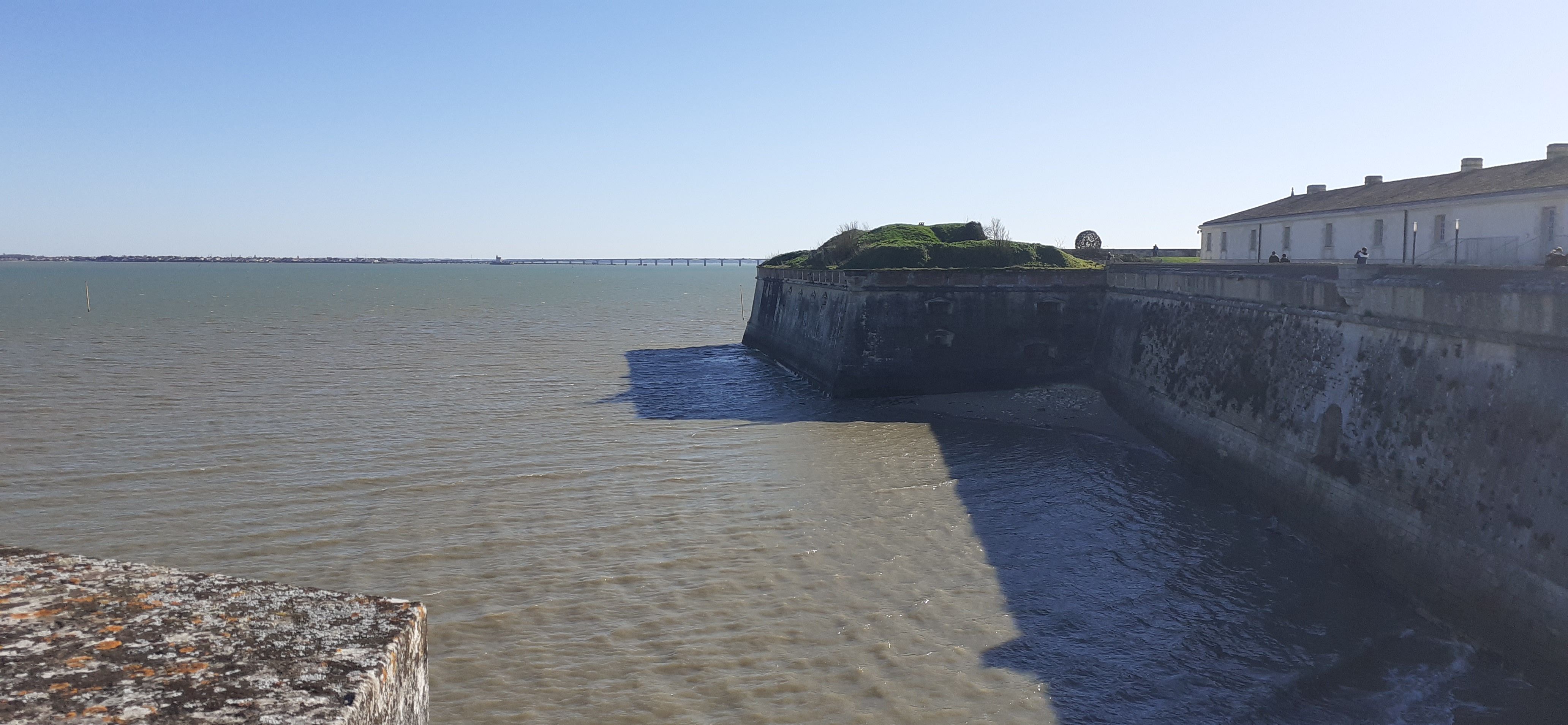 Photo n° 5 de l'avis de Mick53.i fait le 23/02/2021 à 16:58
