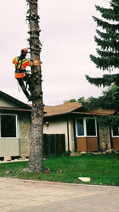 Absolute Tree Removal