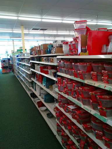 Dollar Store «Dollar Tree», reviews and photos, 2700 E Eldorado Pkwy #200, Little Elm, TX 75068, USA