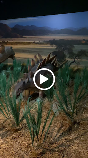 Museum «Dinosaur World», reviews and photos, 1058 Park Rd 59, Glen Rose, TX 76043, USA