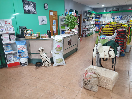 Piensos Carlos 2020 en Candeleda, Ávila‎