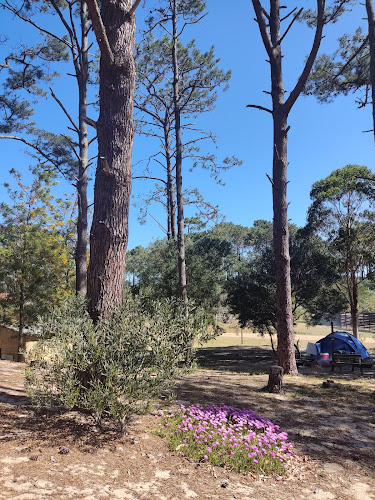 Opiniones de Camping El Palomar en Maldonado - Camping