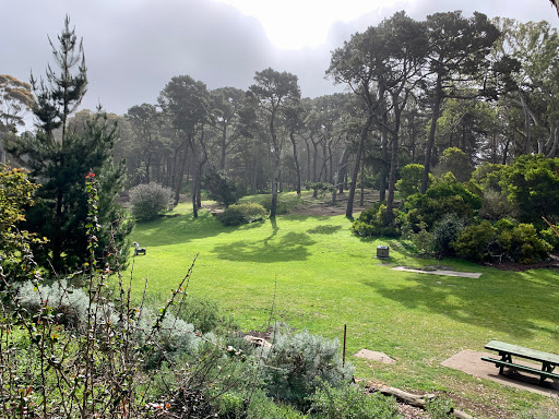 Disc Golf Course «Golden Gate Park Disc Golf Course», reviews and photos, 99 Marx Meadow Dr, San Francisco, CA 94121, USA