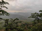 Kurisumudy View Point
