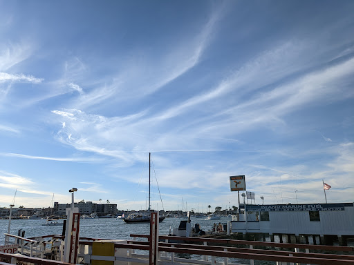 Grocery Store «Island Market», reviews and photos, 500 S Bay Front # A, Newport Beach, CA 92662, USA