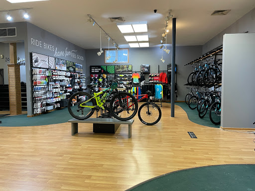 Bicycle Rental Service «Genesis Bicycles», reviews and photos, 126 Bushkill St, Easton, PA 18042, USA