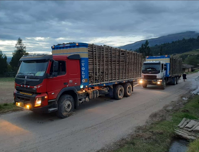 Opinii despre Inversiones Cruz Andino S.A.C. în Trujillo - Servicio de transporte