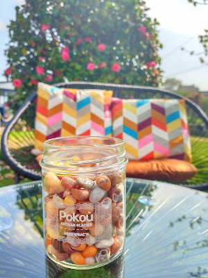 Pokoù glaces à Landéda