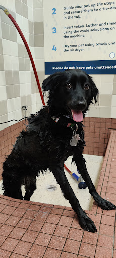 Pet Supply Store «Pet Food Express», reviews and photos, 631 Broadway, Millbrae, CA 94030, USA