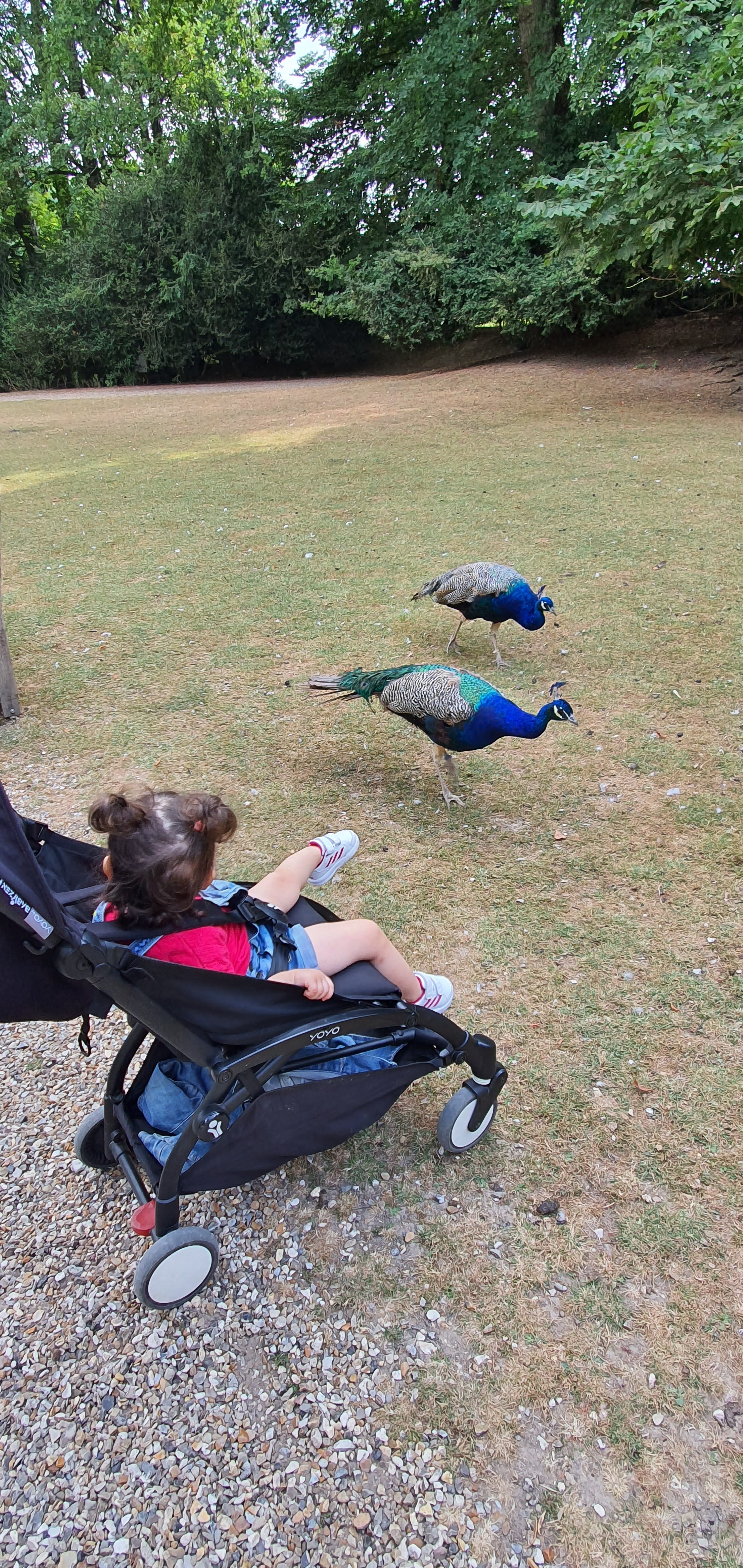 Photo n° 6 de l'avis de tracy. fait le 20/08/2022 à 13:44