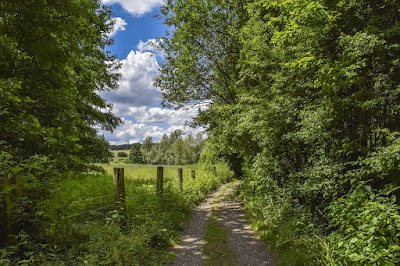 Faire son chemin à Margny-lès-Compiègne