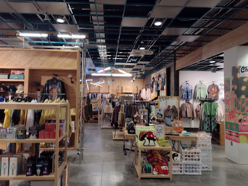 Clothing Store «Urban Outfitters», reviews and photos, 131 E Green St, Ithaca, NY 14850, USA