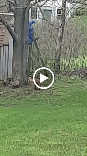 American Restaurant «The Heights Restaurant and H Bar», reviews and photos, 903 Hanshaw Rd, Ithaca, NY 14850, USA