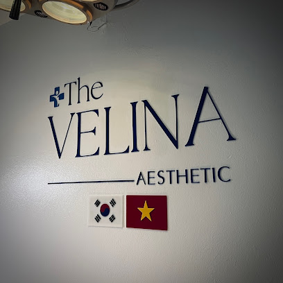 The Velina Aesthetic