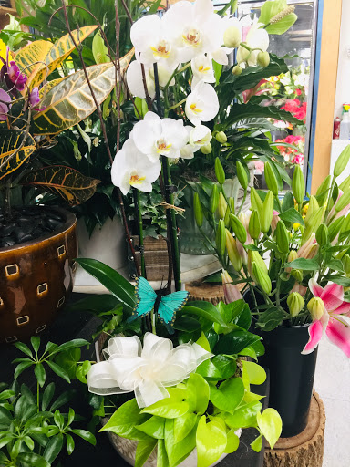 Florist «Rogers Park Florist», reviews and photos, 1415 W Morse Ave, Chicago, IL 60626, USA