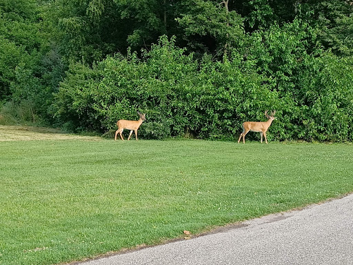 Golf Course «South Grove Golf Course», reviews and photos, 1800 W 18th St, Indianapolis, IN 46202, USA