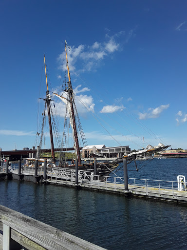 Auto Parts Store «NAPA Auto Parts - Genuine Parts Company», reviews and photos, 1260 Newfield St, Middletown, CT 06457, USA