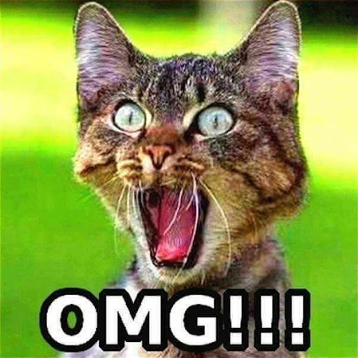 Clothing Store «Wild Things Lingerie & Adult Novelty Store», reviews and photos, 5340 E Silver Springs Blvd, Silver Springs, FL 34488, USA