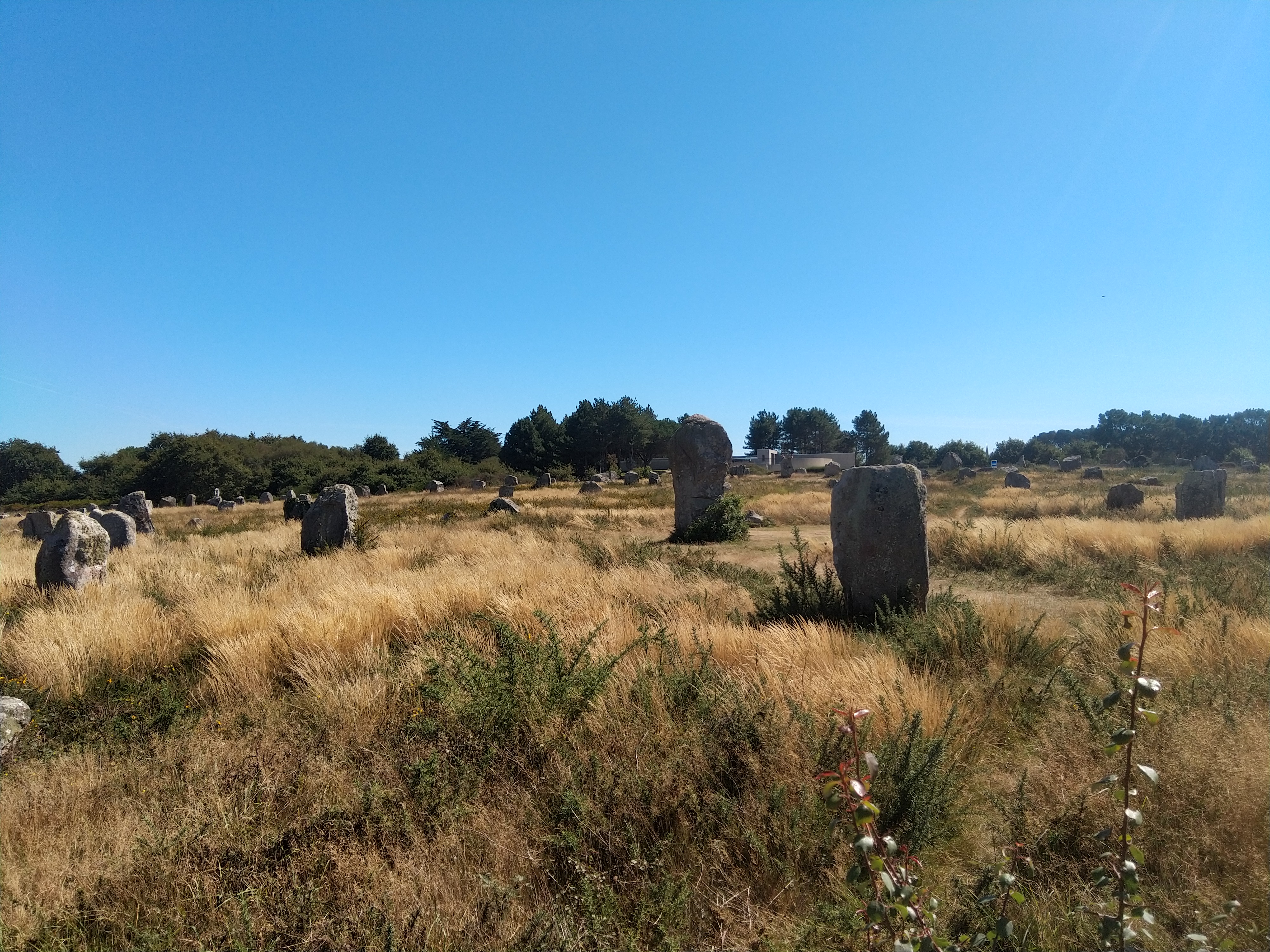 Photo n° 5 de l'avis de Pascal.e fait le 08/09/2020 à 15:55