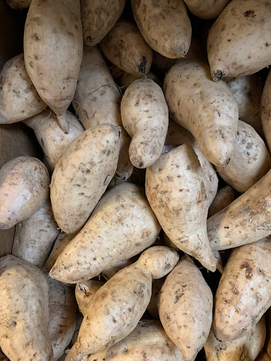 Grocery Store «Asian Market», reviews and photos, 1043 Pedigo Way # 8, Bowling Green, KY 42103, USA