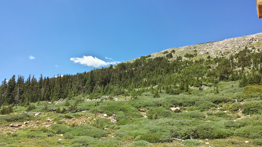 Nature Preserve «Mount Goliath Natural Area», reviews and photos, Mt Evans Rd, Evergreen, CO 80439, USA