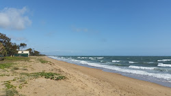 Photo de Moore Park Beach avec rivage droit, long