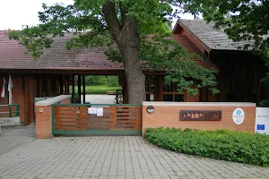 Tiszakürti Arboretum image