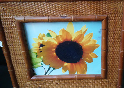 Thrift Store «Lucky Dog Thrift Shop», reviews and photos, 23 Elm St, Nashua, NH 03060, USA