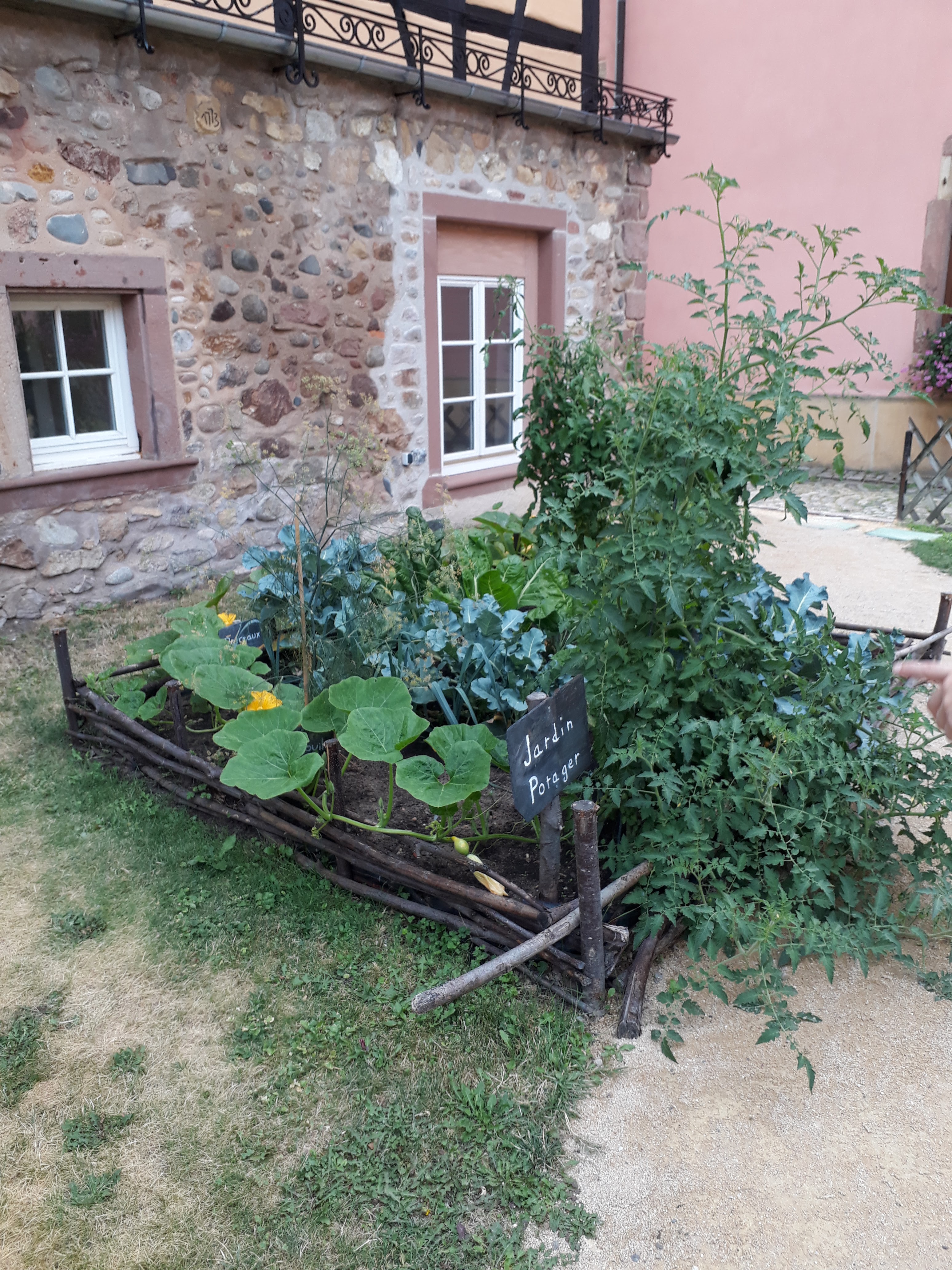 Photo n° 2 de l'avis de Sebastian.B fait le 19/08/2018 à 07:40