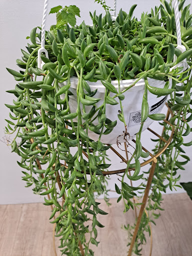 Florist «Finer Flowers», reviews and photos, 645 E Landis Ave, Vineland, NJ 08360, USA