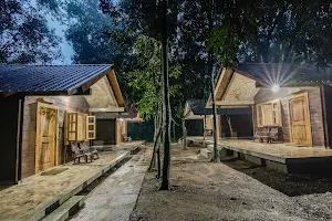 Aanejari Butterfly Camp-junglelodges image