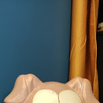 Photo n° 2 de l'avis de Zou.r fait le 17/04/2024 à 14:32 pour L'escargot rouge à Verclause