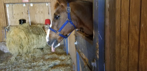 Car Dealer «Best Chrysler Dodge Jeep Ram», reviews and photos, 520 Colony Pl, Plymouth, MA 02360, USA