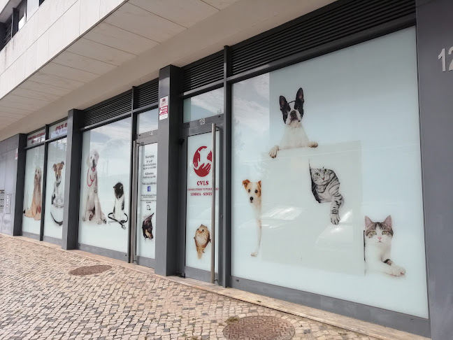 Avaliações doCVLS em Amadora - Veterinário