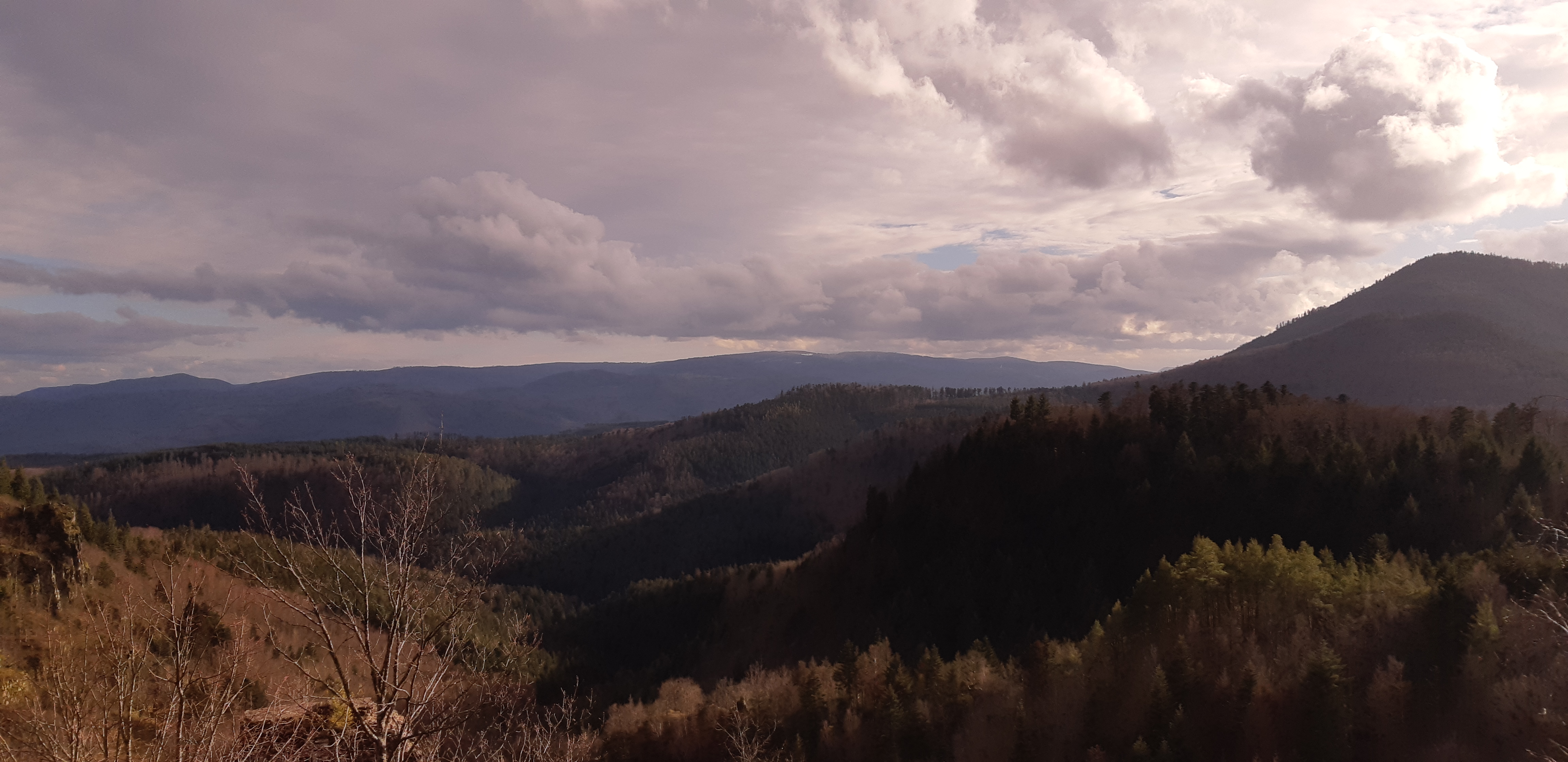 Photo n° 1 de l'avis de Pierre.U fait le 07/03/2020 à 12:32