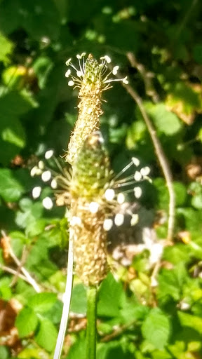 Performing Arts Theater «Albany Civic Theater», reviews and photos, 111 W 1st Ave, Albany, OR 97321, USA