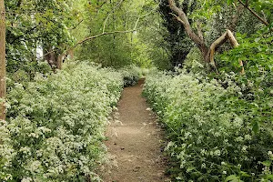 Oude Spoorwegberm image