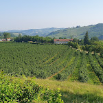 Photo n°1 de l'avis de Ola.n fait le 24/05/2023 à 07:19 sur le  Tenuta Larenzania à Dogliani