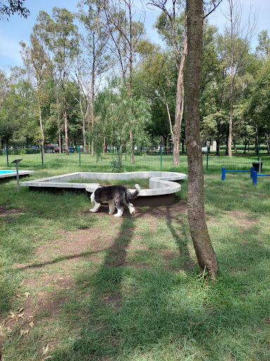 Parque canino