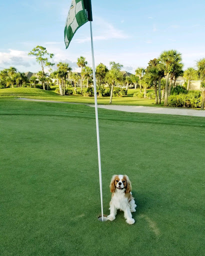 Golf Club «Viera East Golf Club», reviews and photos, 2300 Clubhouse Dr, Rockledge, FL 32955, USA