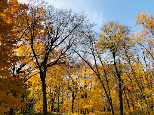 Park «French Regional Park», reviews and photos, 12605 Rockford Rd, Plymouth, MN 55441, USA