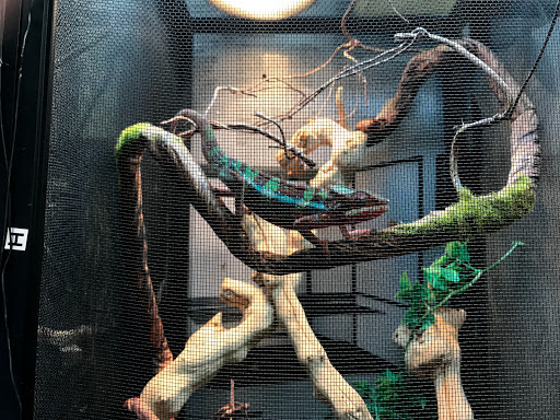 Pet Store «Animal Ark Pet Stores», reviews and photos, 33 Center St, Orem, UT 84057, USA