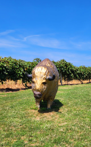 Winery «21 Brix Winery», reviews and photos, 6654 West Main Road, Portland, NY 14769, USA