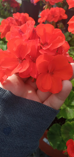 Hardware Store «La Grange Pk Ace Hardware Inc», reviews and photos, 900 E 31st St, La Grange Park, IL 60526, USA